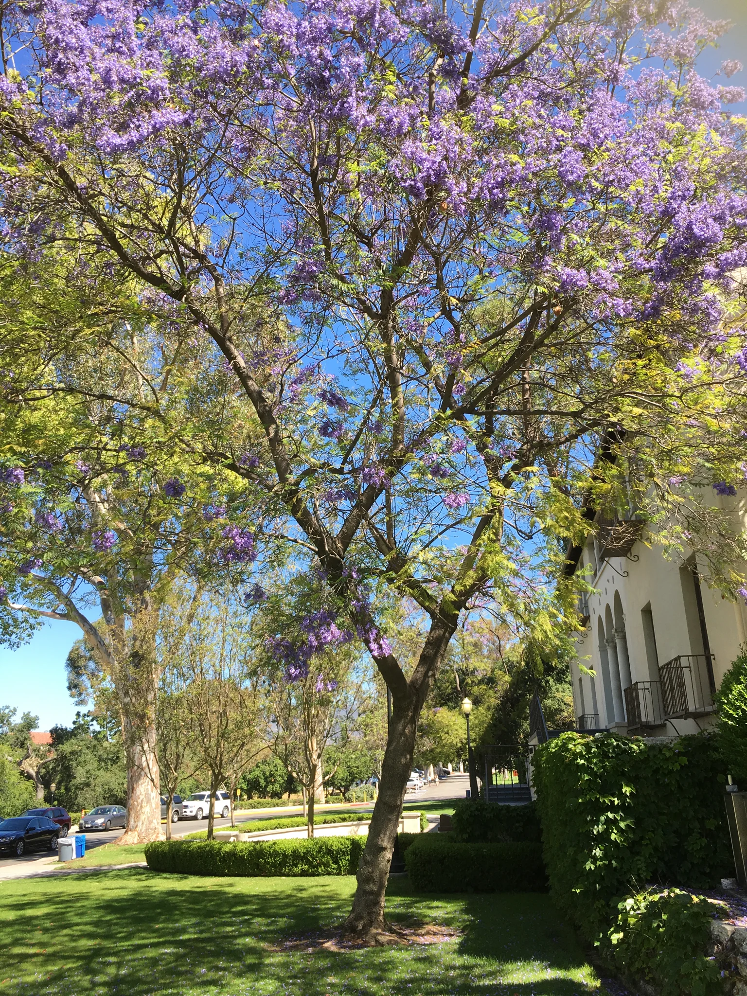 Graduation Ceremonies and Family Bonding: My Trip to LA