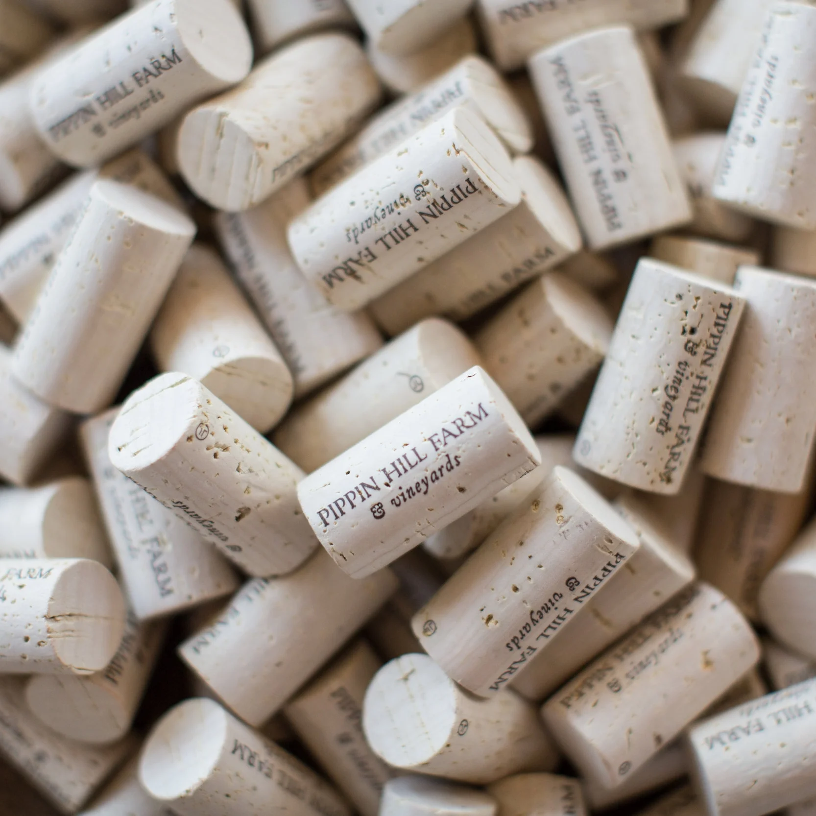 Winning Wines