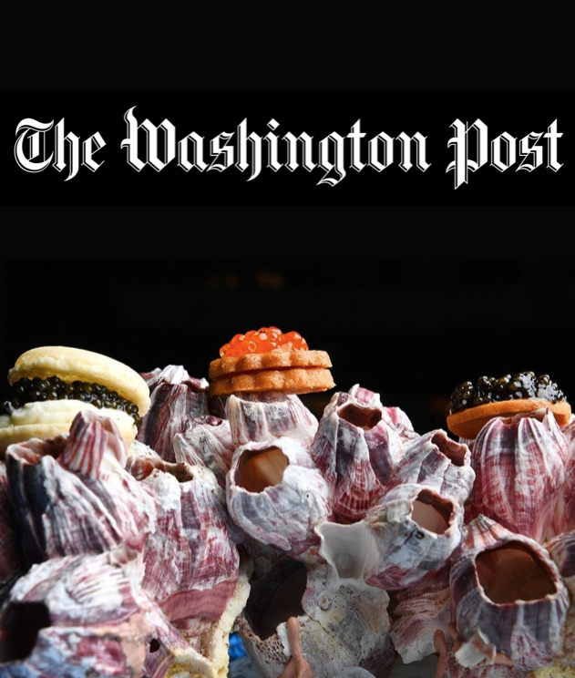 Washington Post_Siren_201809