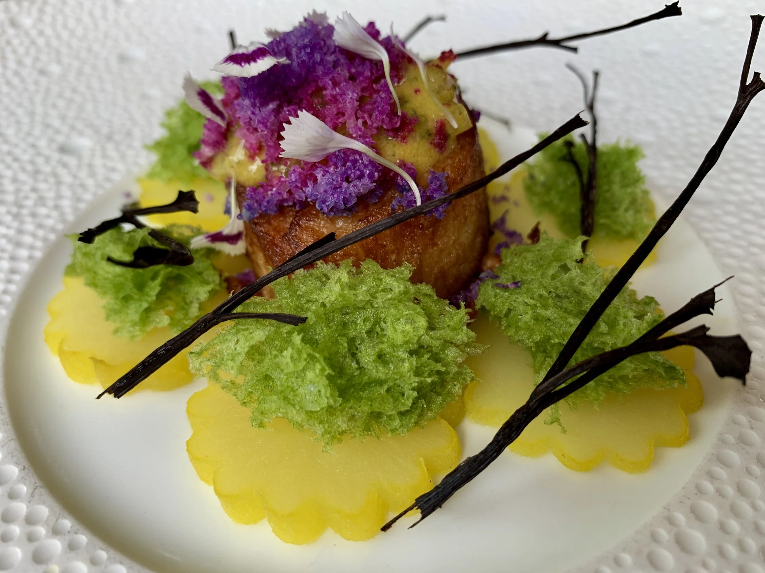 Scallop_JLP Month-Long_SR.jpg