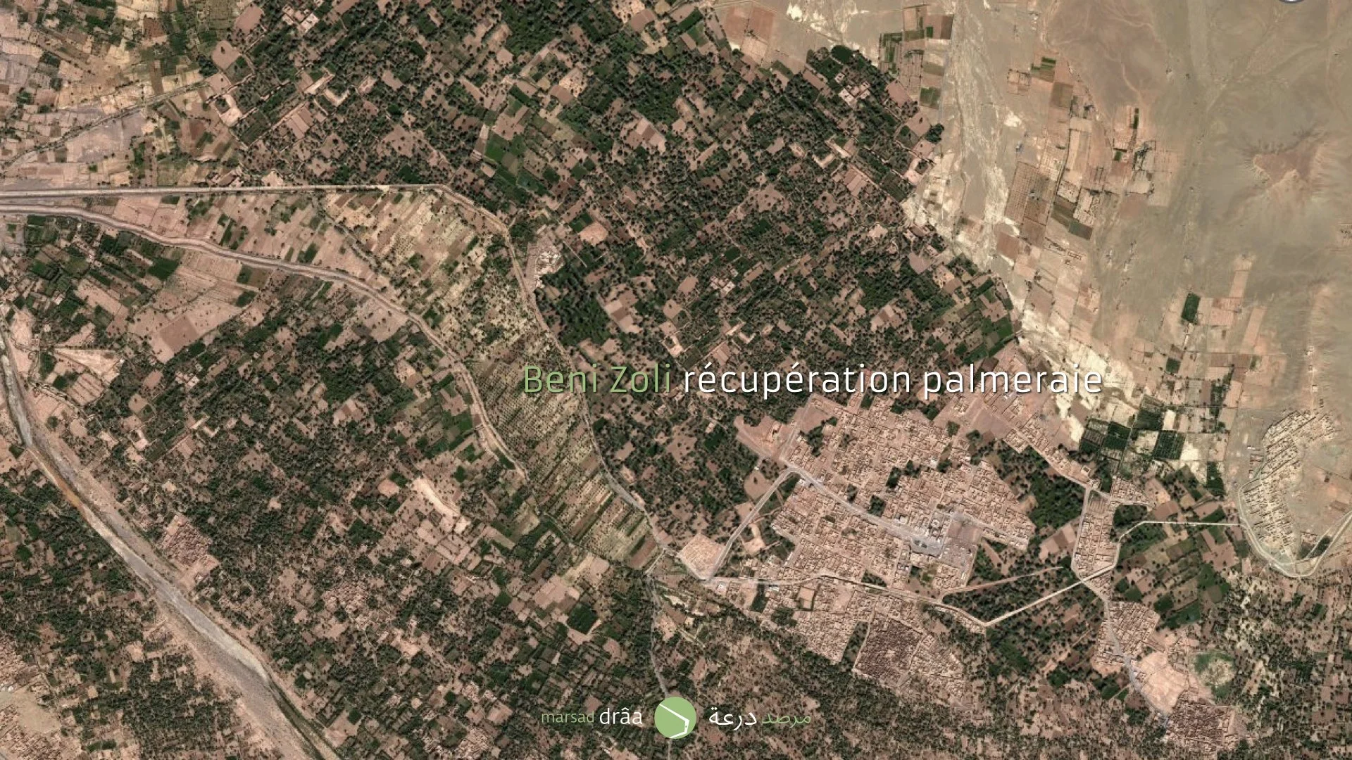 Imaginons que la palmeraie est toujours présente. Comment pourrait-on développer la ville à l'intérieur de l'oasis?