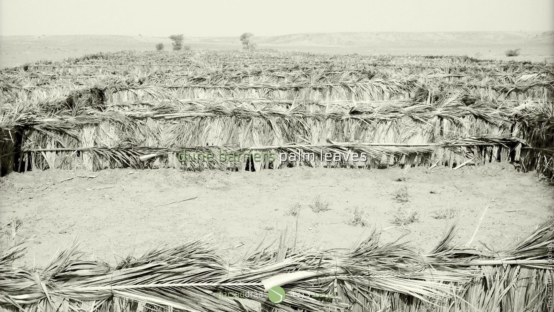 If traditional systems, used by agronomy engineers, don't work, we have to search another solution, using methods from another domains.