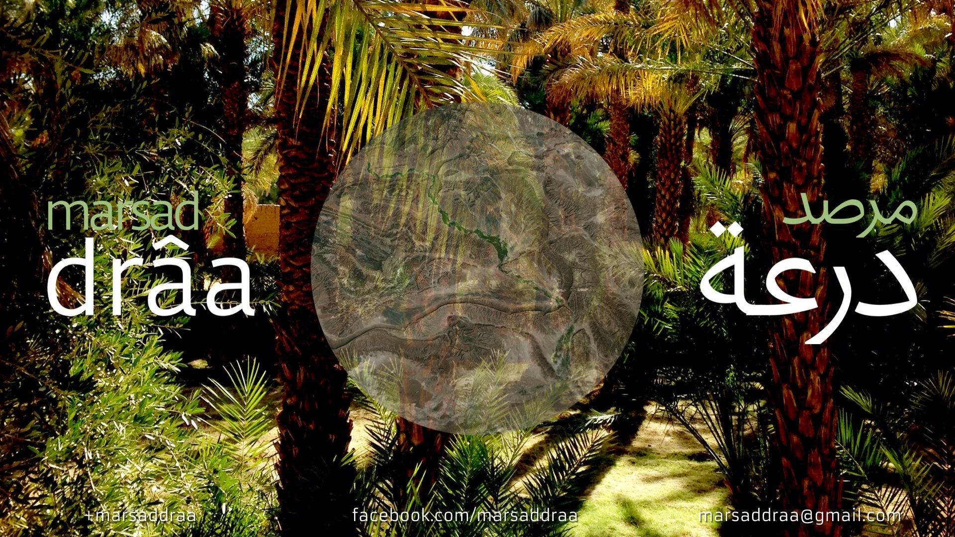MARSAD DRAA-ARTS CABINET, RABAT 13 NOV 2014.049.jpg
