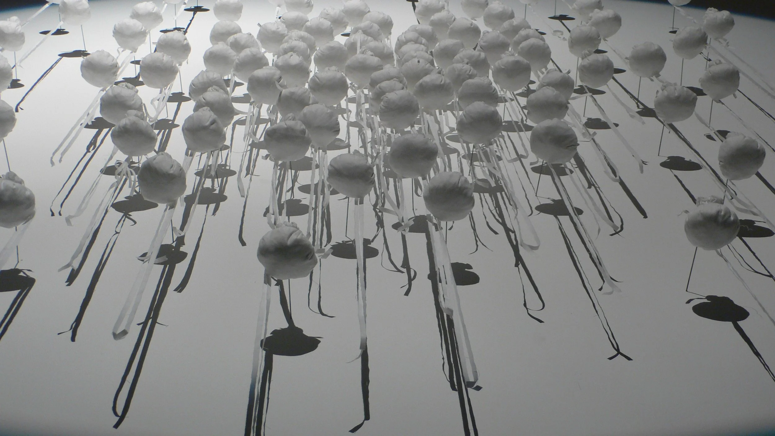 L1050785.jpg