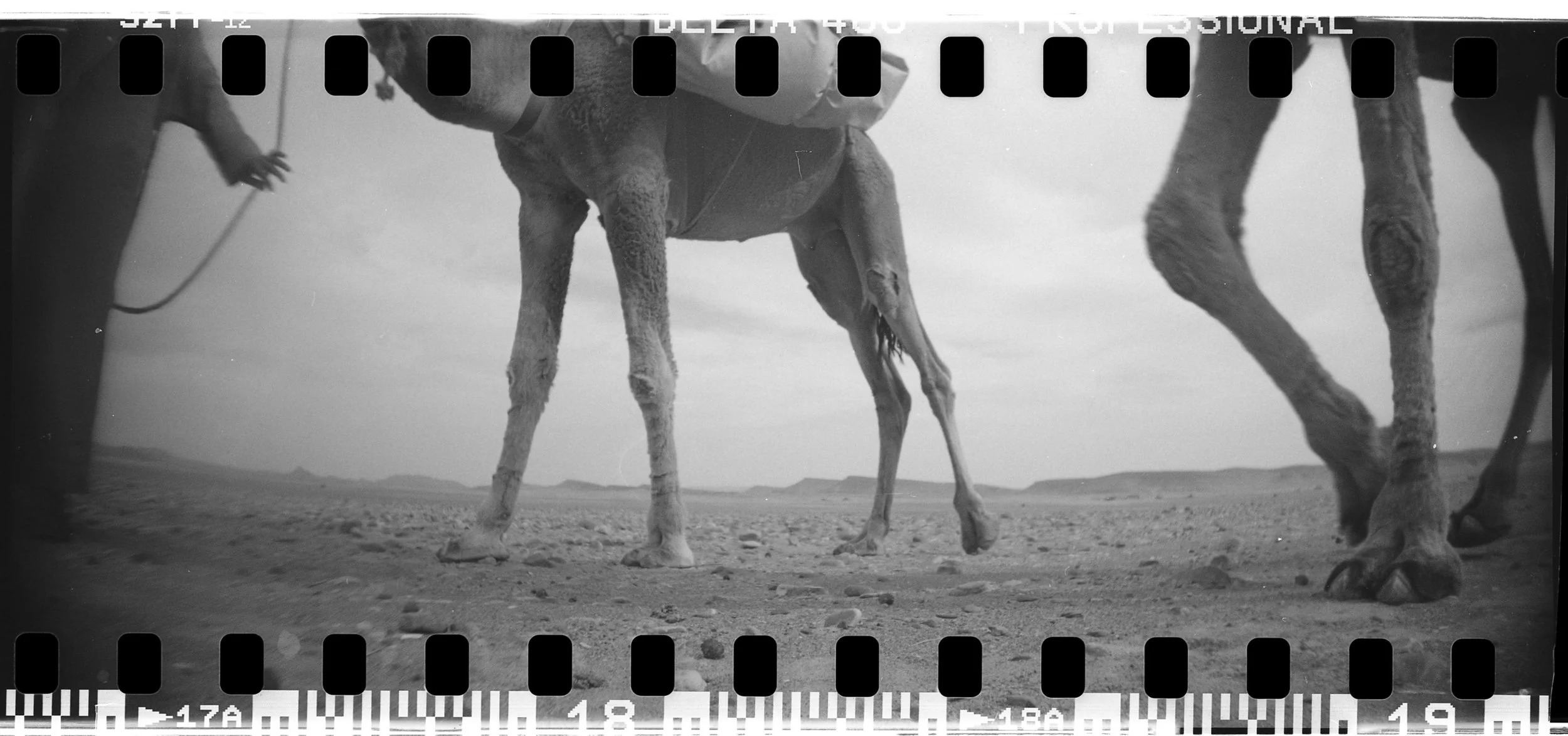 QAFILA WAHIDA JOUR 08.009.jpg