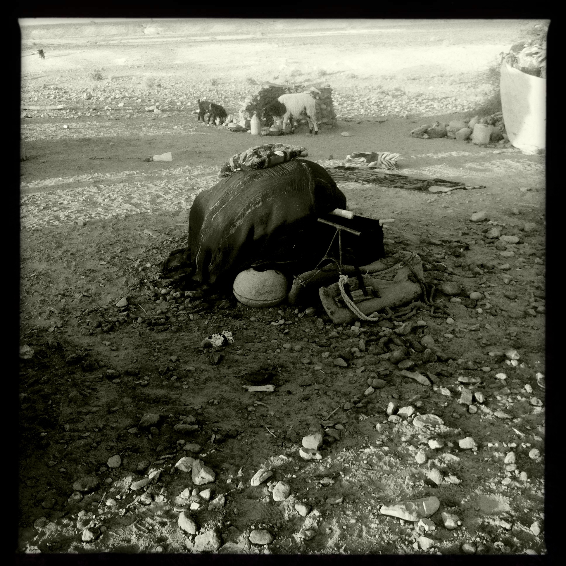 near Erg Chegaga, Zagora (2012)