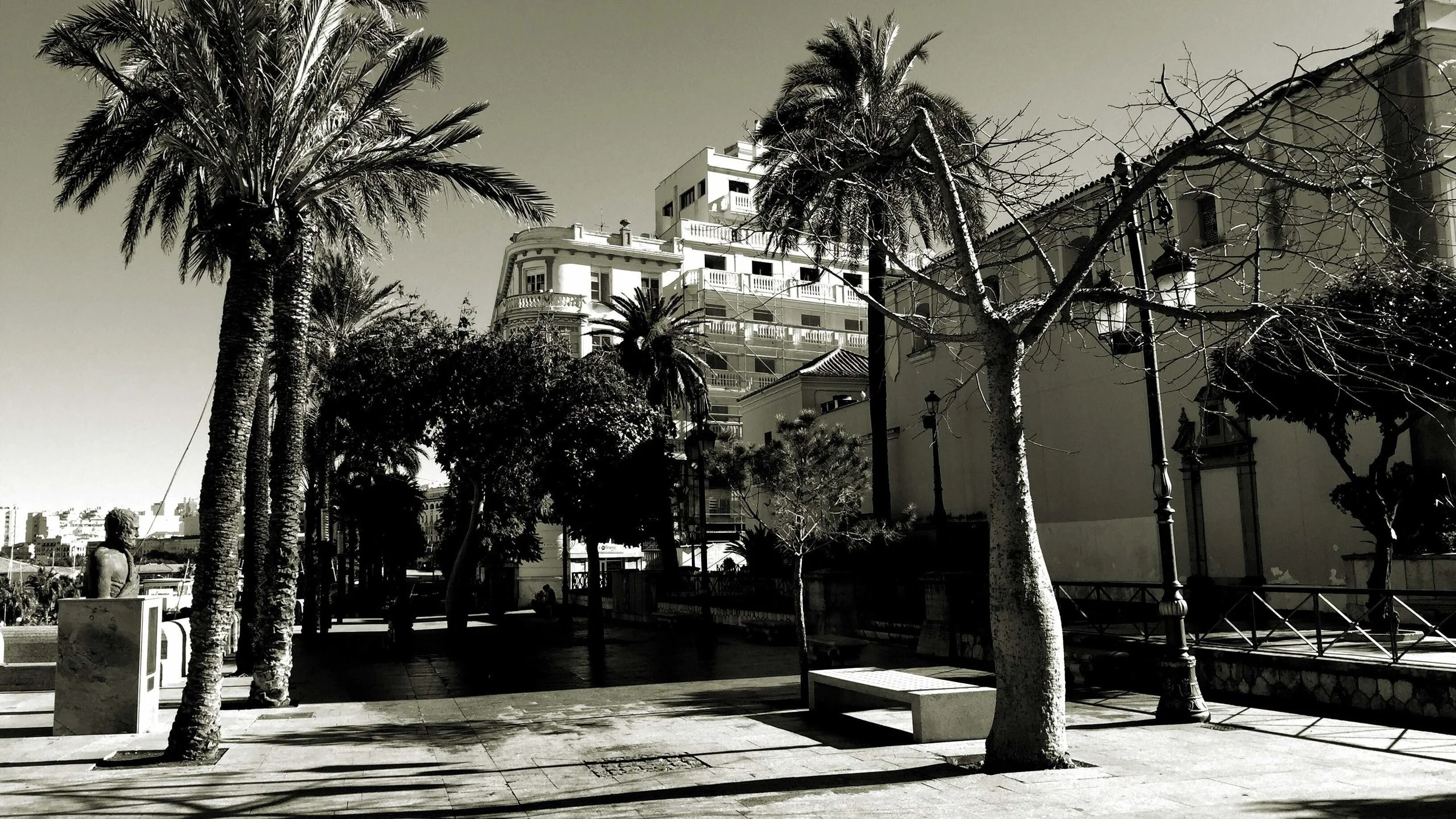 lateral de la calle Edrisis que dejará de ser peatonal