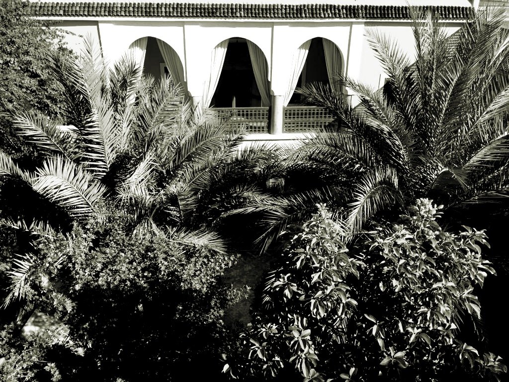 Riad le Jardin Djahane © Marion Lécrivain 
