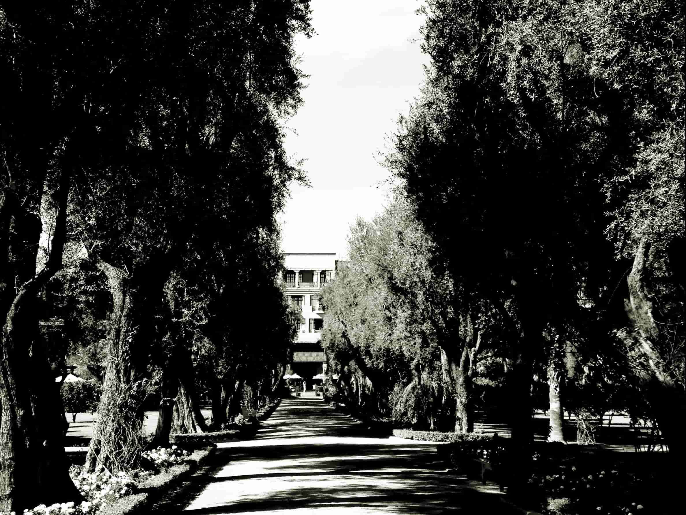 Arsat al-Mamoun garden
