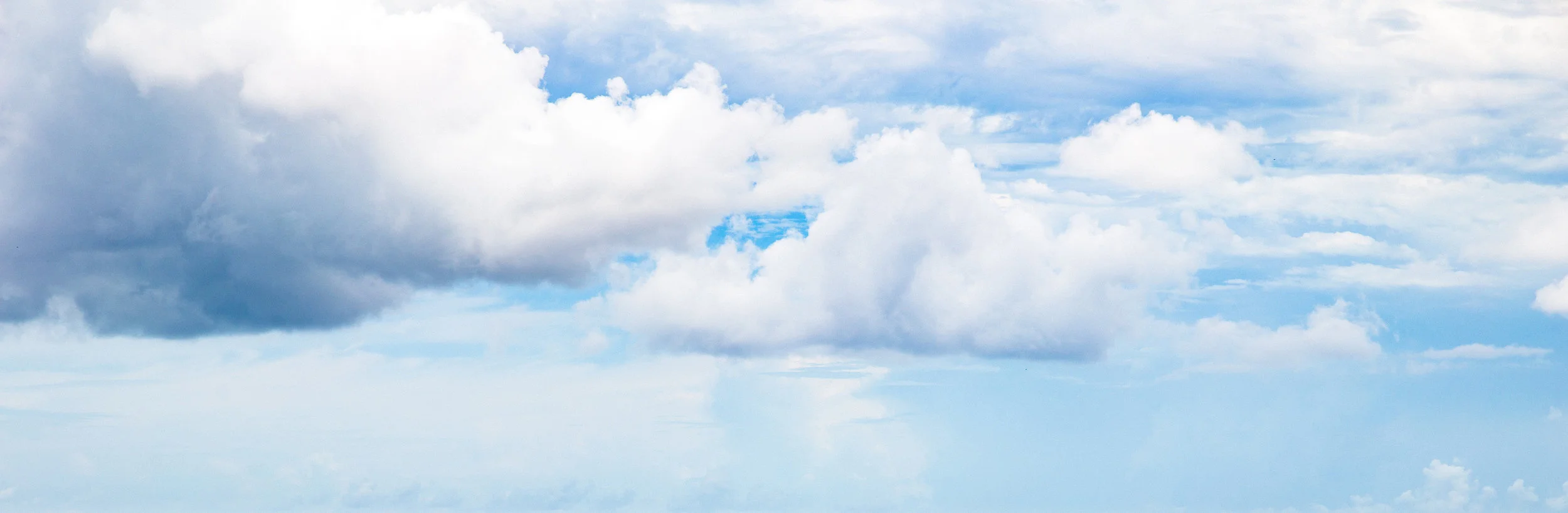 banner background 2.jpg