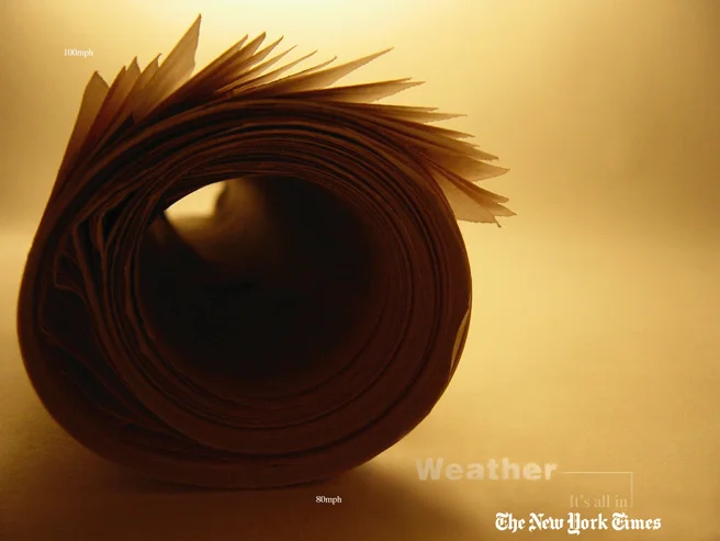nyt3.jpg