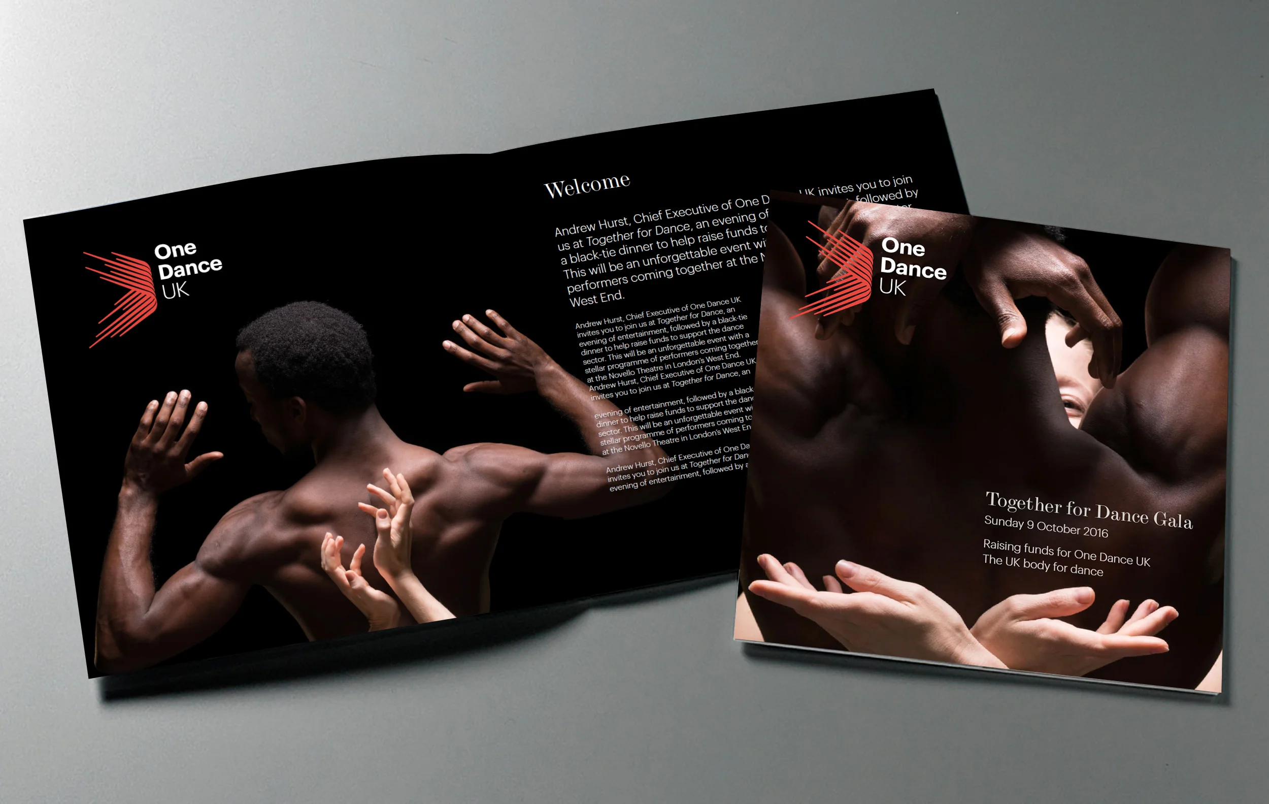 onedanceuk_gala_auction.jpg