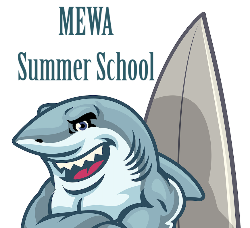HS Summer School