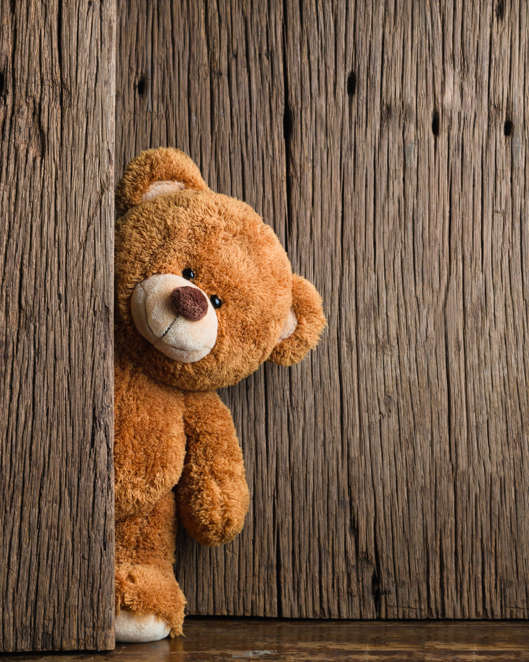 Teddy Bear Parade