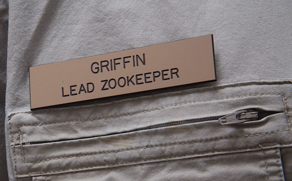 Judge the Idea, Not the Job Title