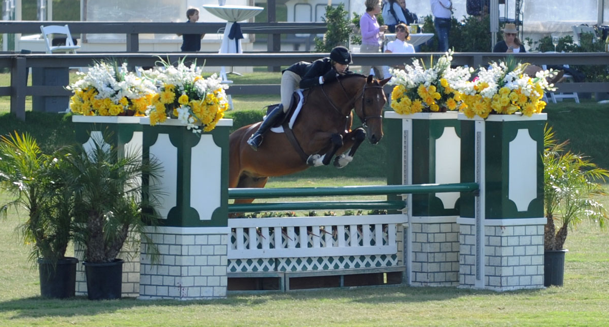 Screen Shot 2016-11-18 at 11.54.57 AM.png