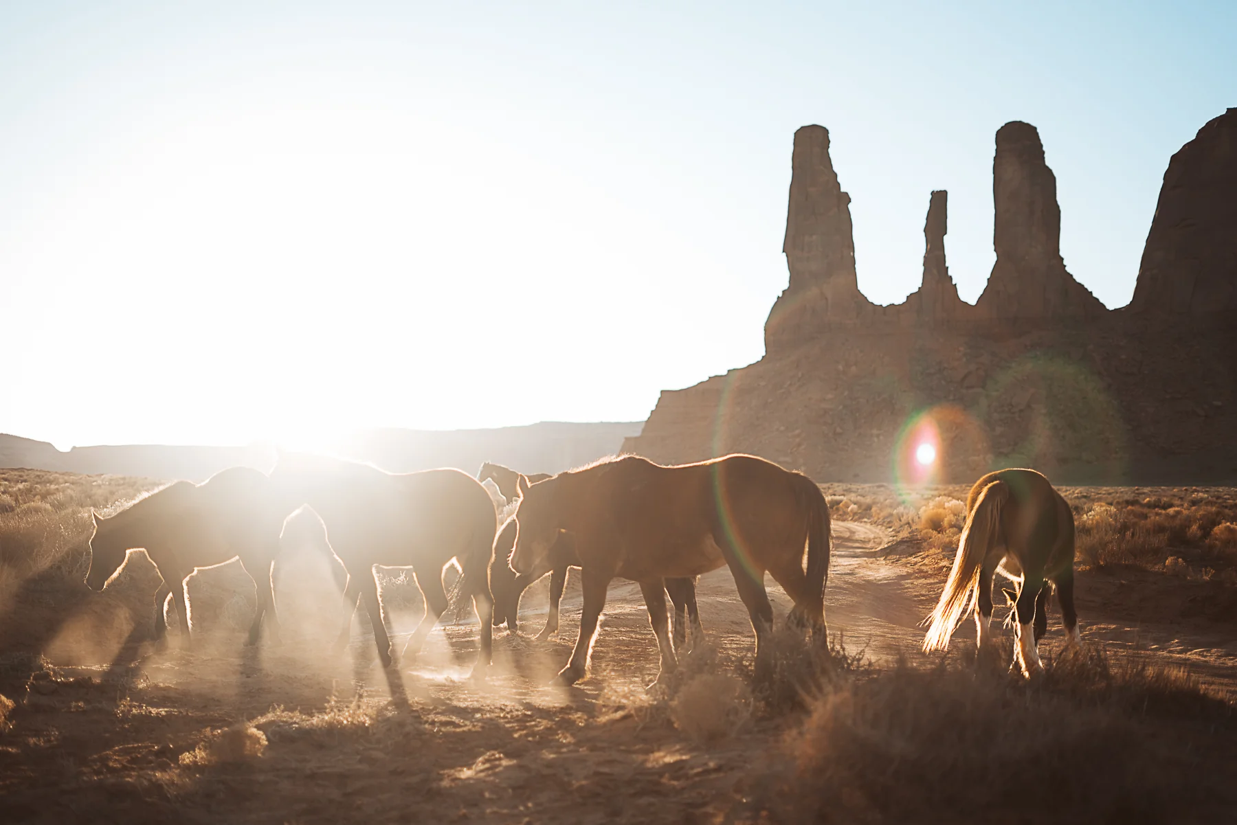 Wildhorse13.jpg