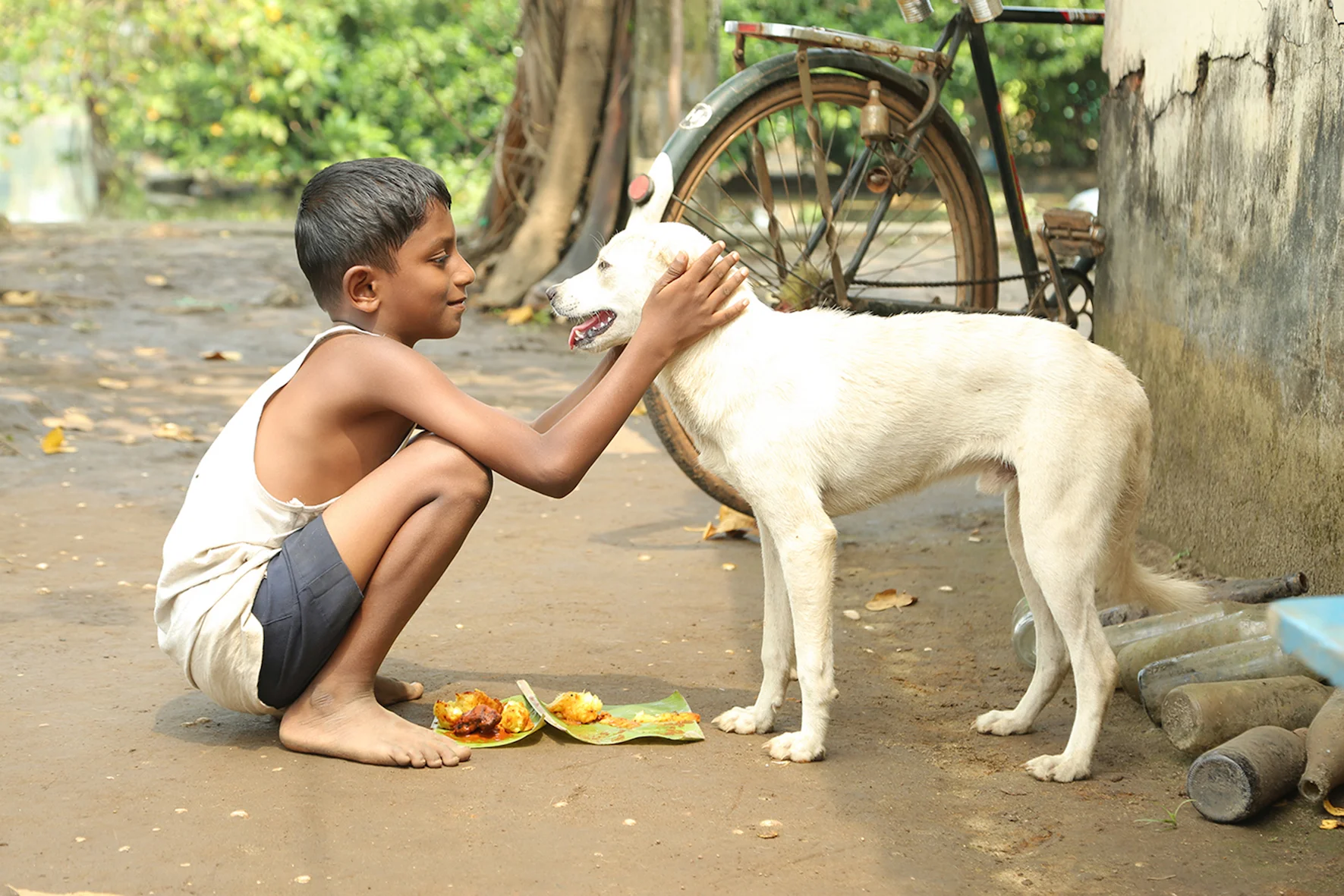 Armadilha, Jayaraj Rajasekharan Nair, 2015