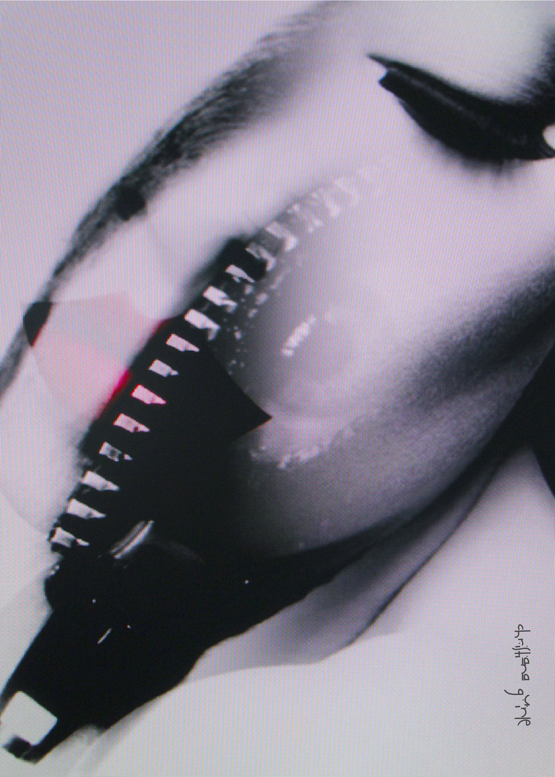 Christiana Guinle, fotografia
