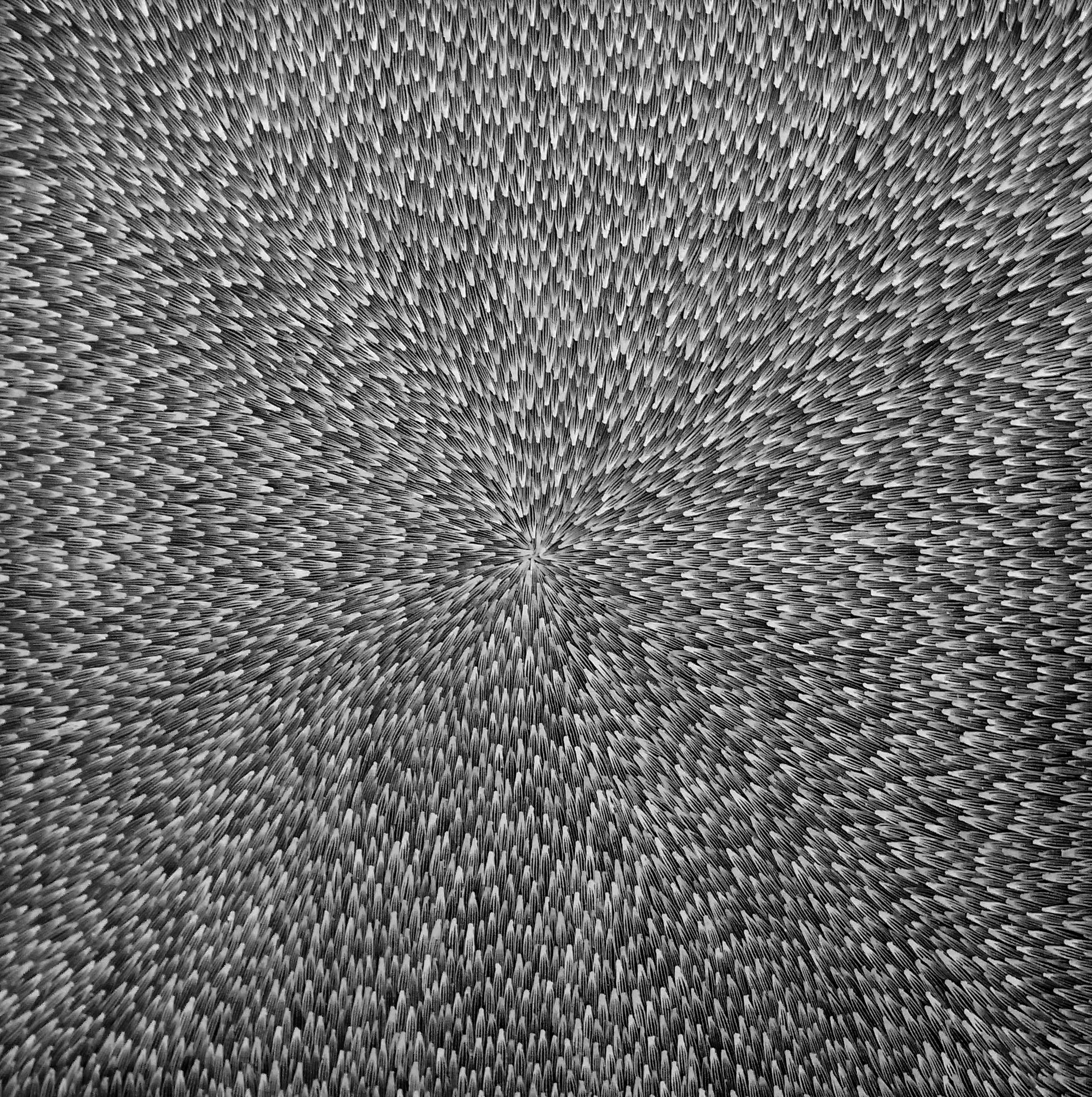 Abie Loy (1974), "O Sonhar da Folha de Arbusto", 2008, tinta acrílica sobre linho belga