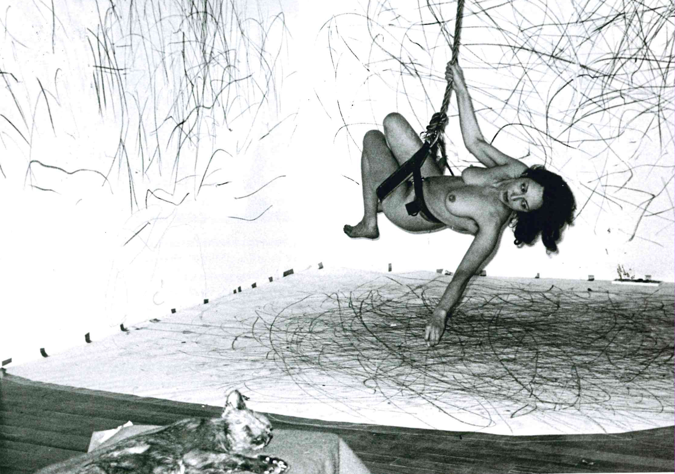 Carolee Schneemann, Up to and Including Her Limits, 1973, performance