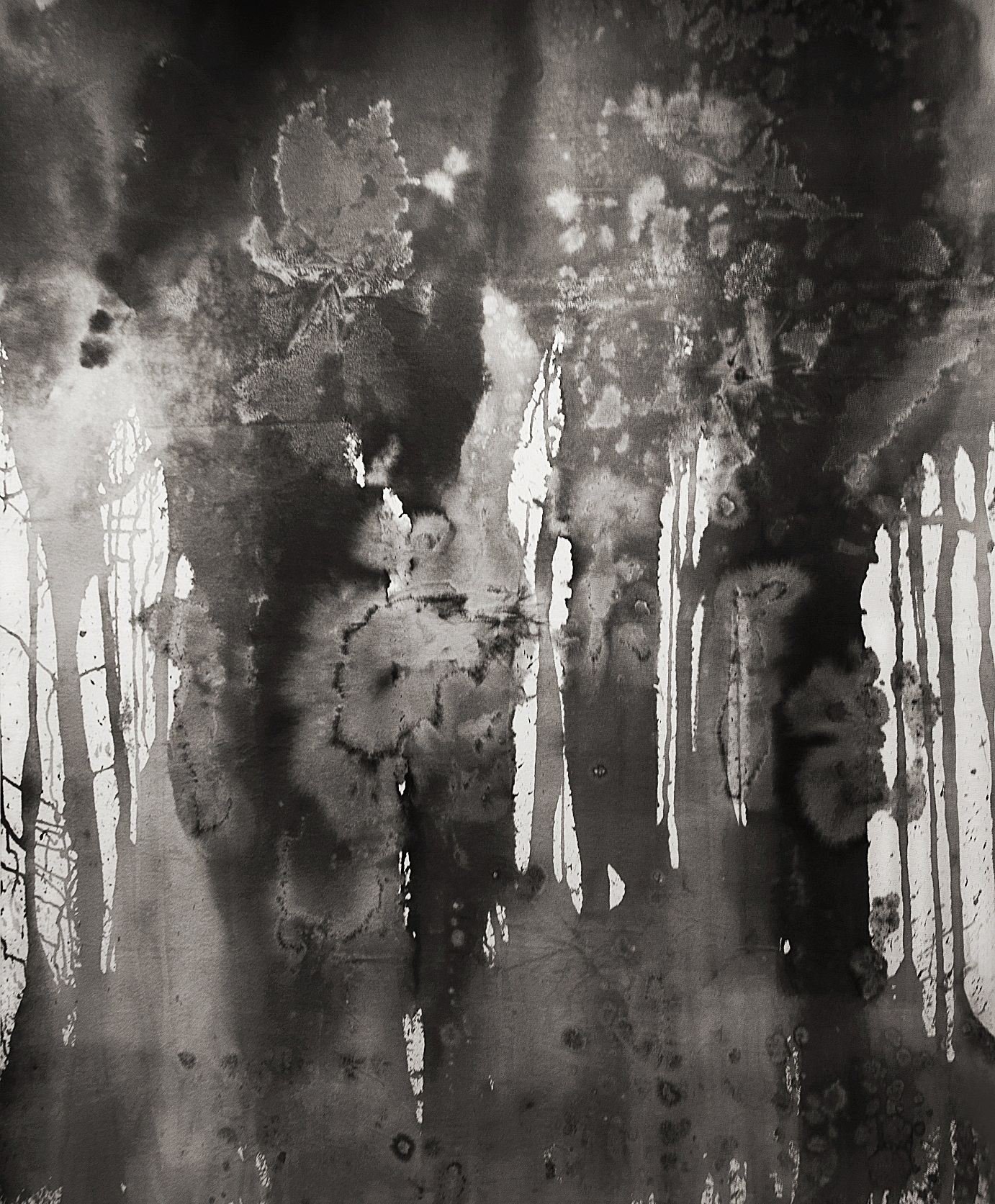 Paula Klien, Invisibilities, 2016