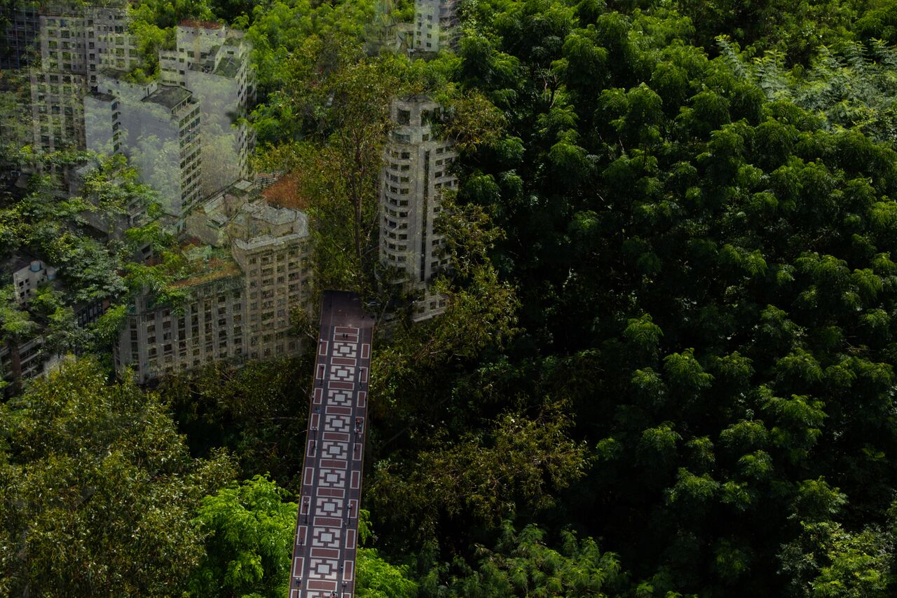 Floresta ou viaduto, 2016