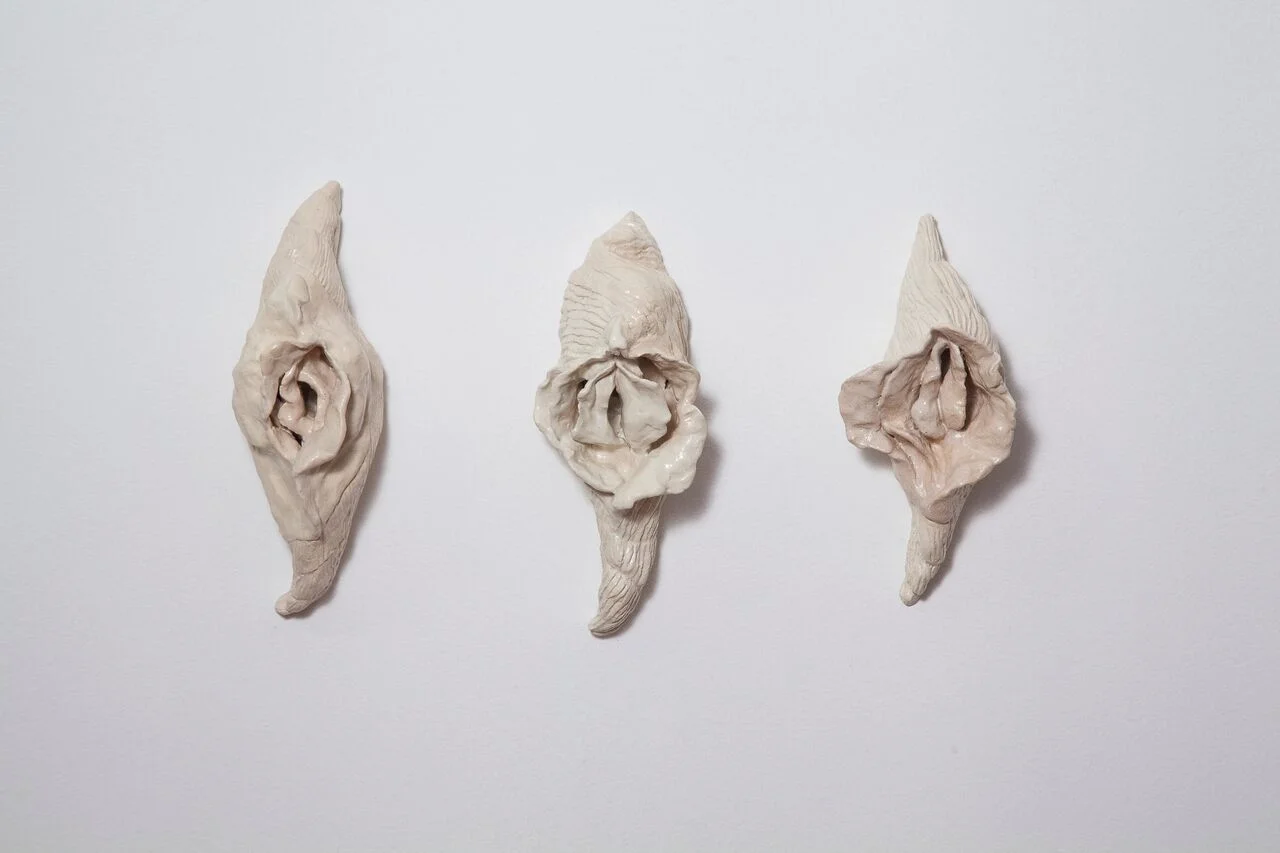 As conchas vagina, 2017