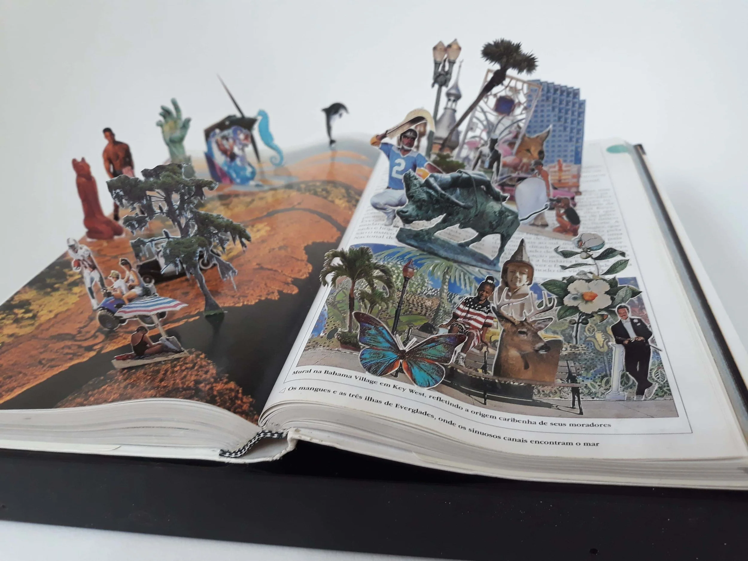 Daniel Escobar, Florida 266-267 (The World), 2018, recorte sobre guia de turismo