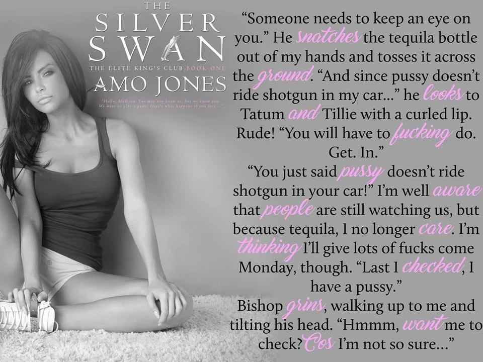 The Silver Swan Teaser 3.jpg