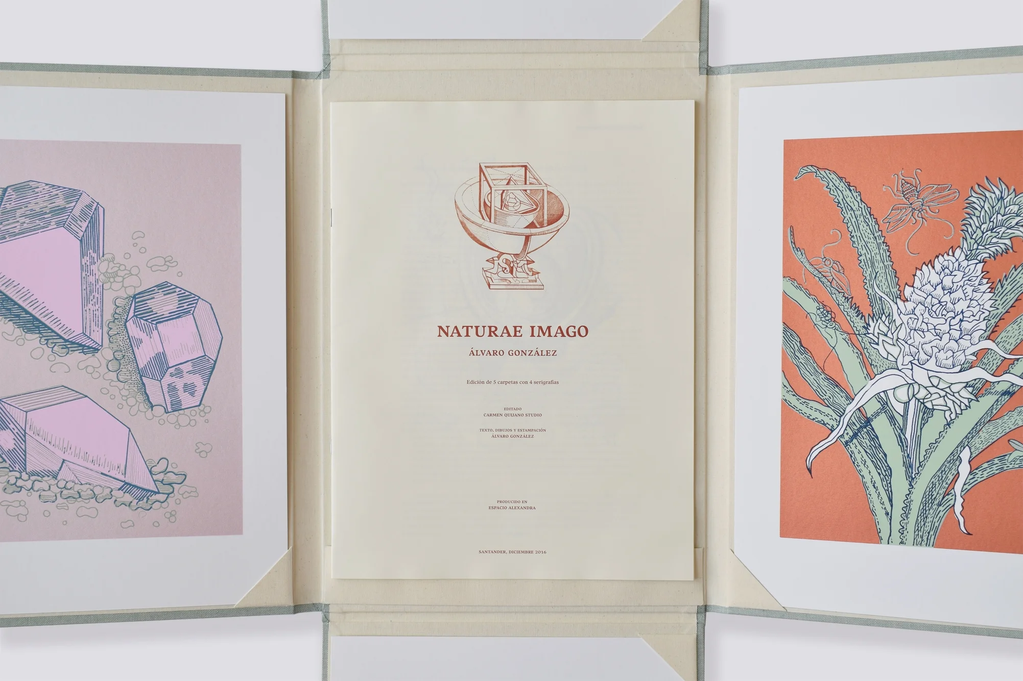 Alvaro_Gonzalez_NATURAE_IMAGO_5.jpg