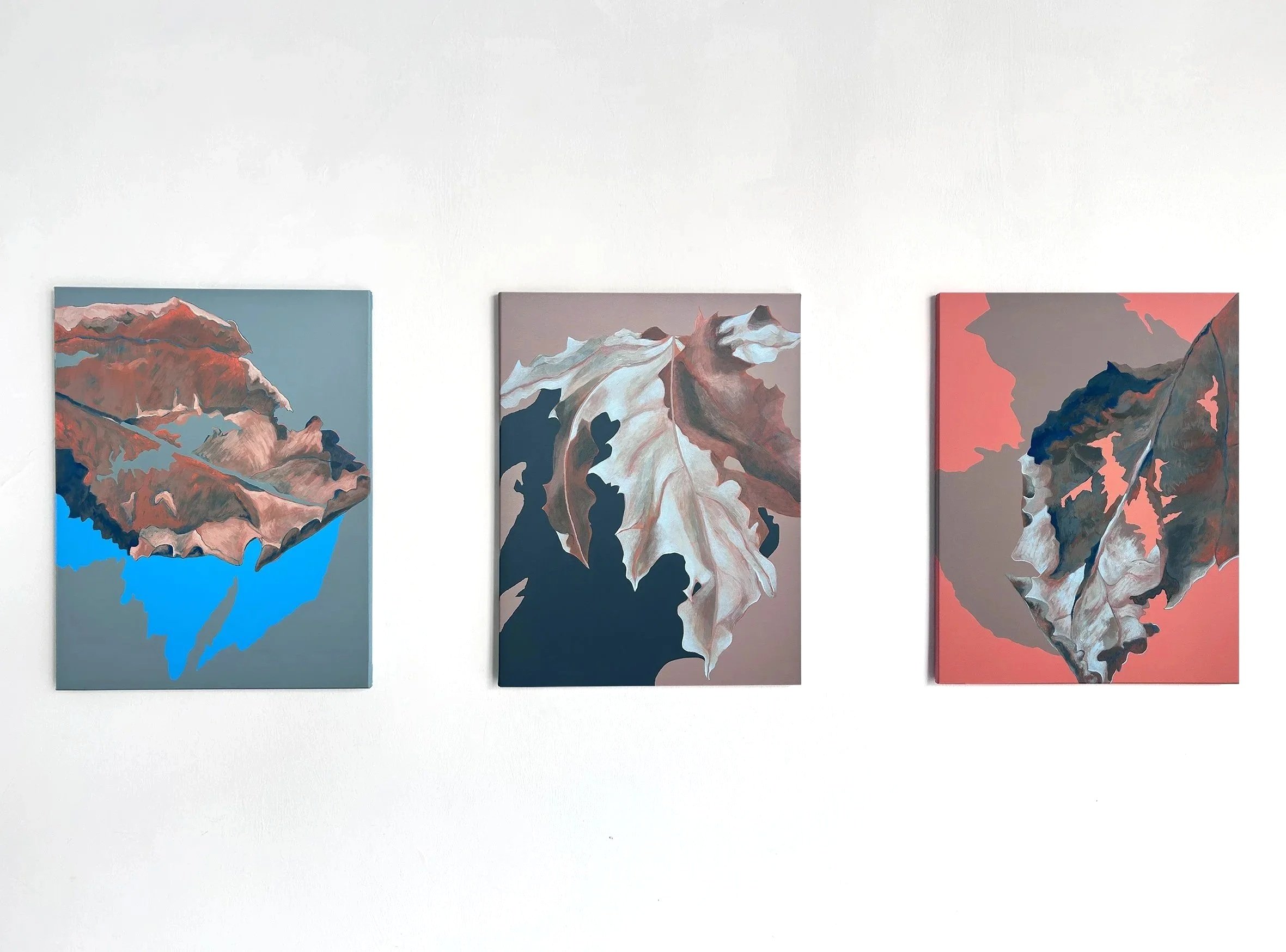 Hoja 1, 2, 3
