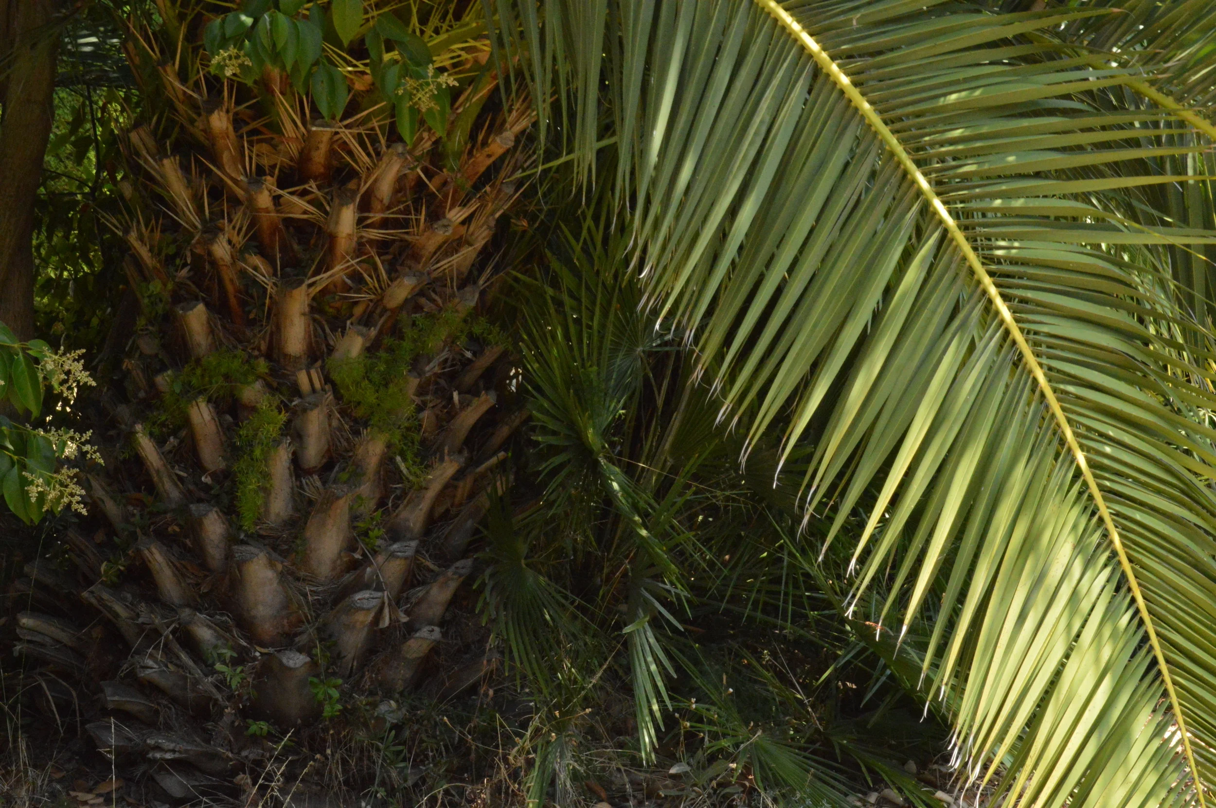 Voyer_19_Our Hiding Spot.JPG