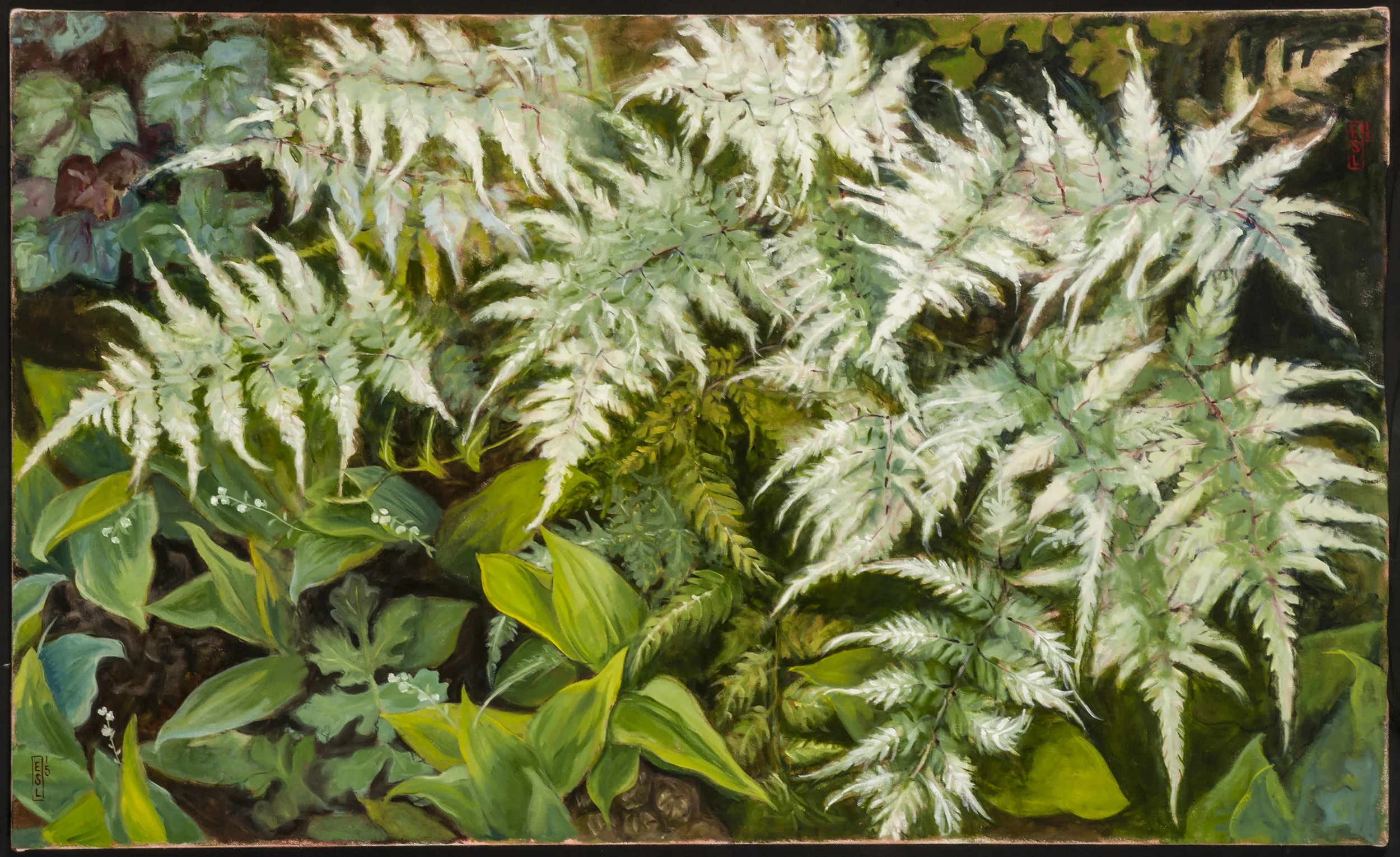 Japanese Painted Fern
