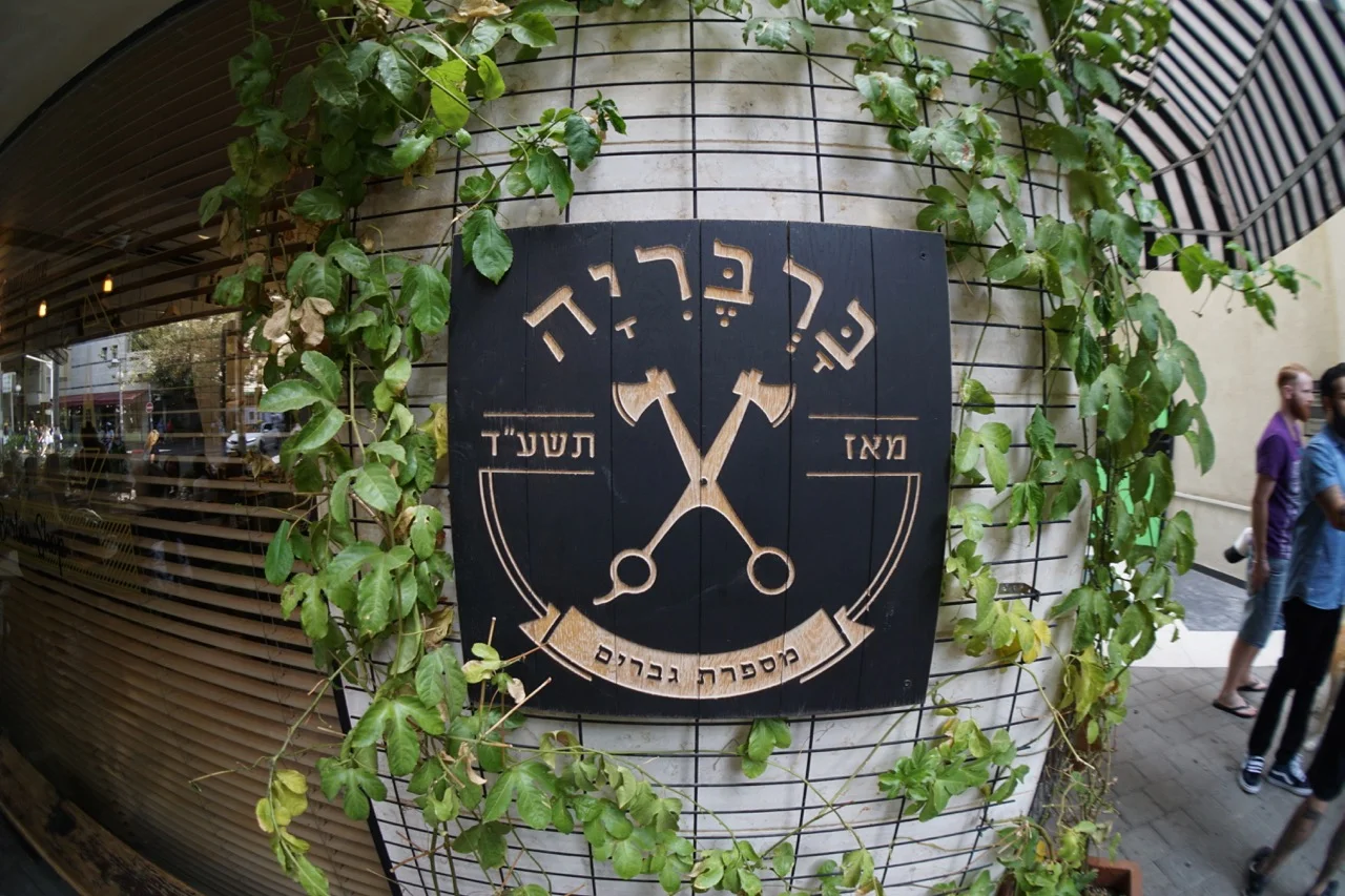TAV - 2.jpg
