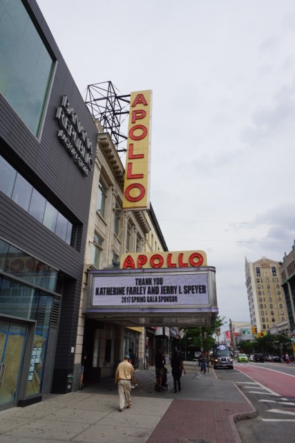 ApolloWeb - 13.jpg