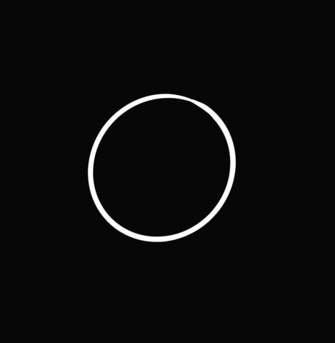  Samantha Case Studio