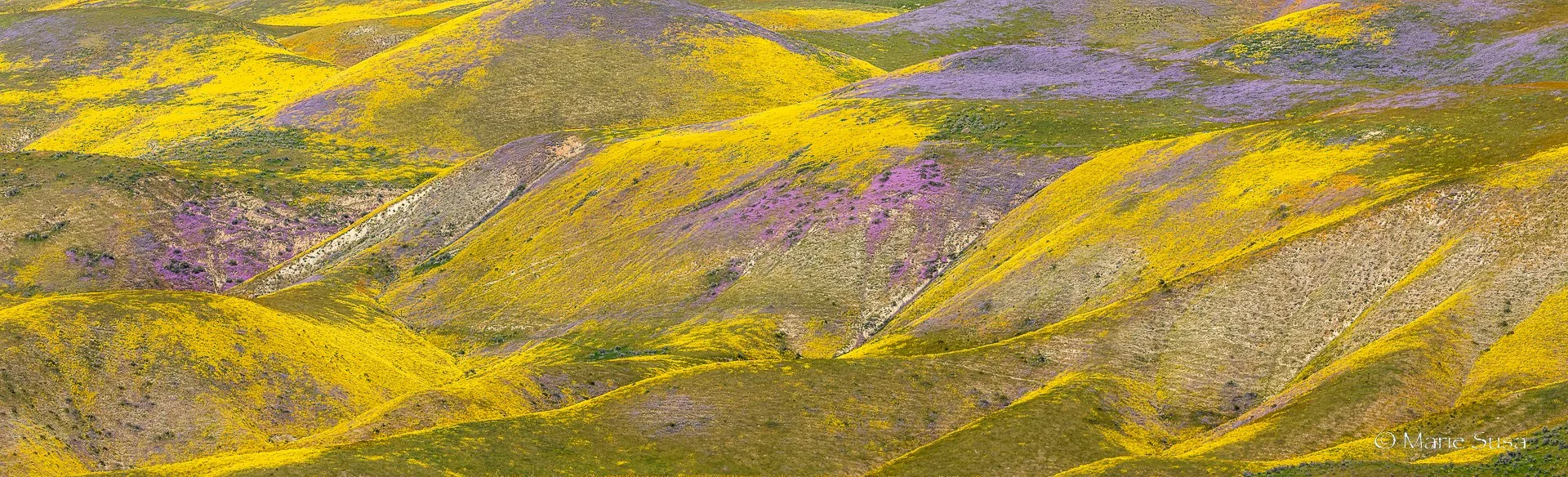 Carrizo-6024-.jpg