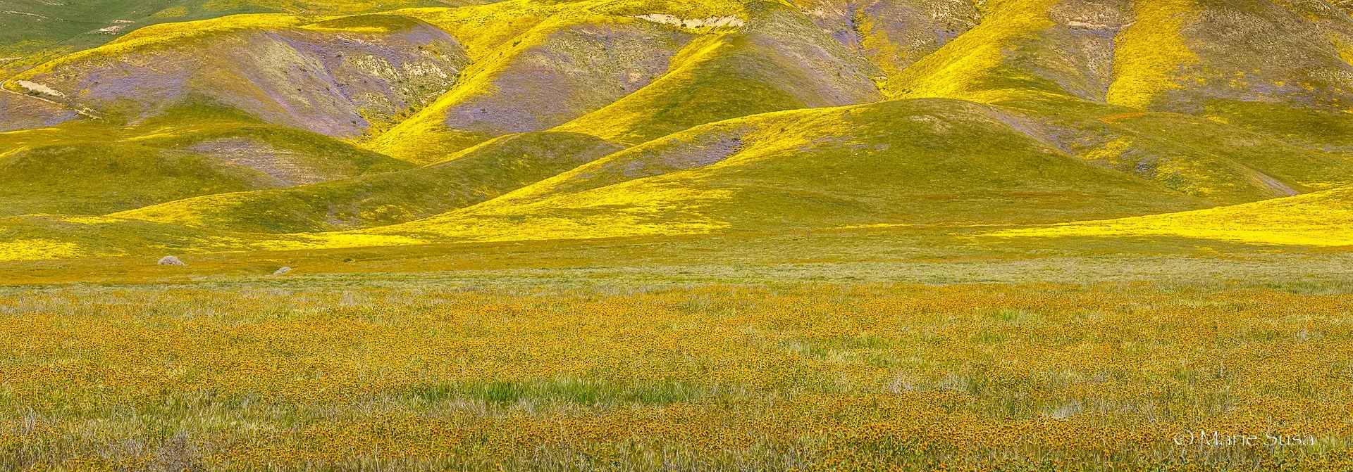 Carrizo-6029-.jpg