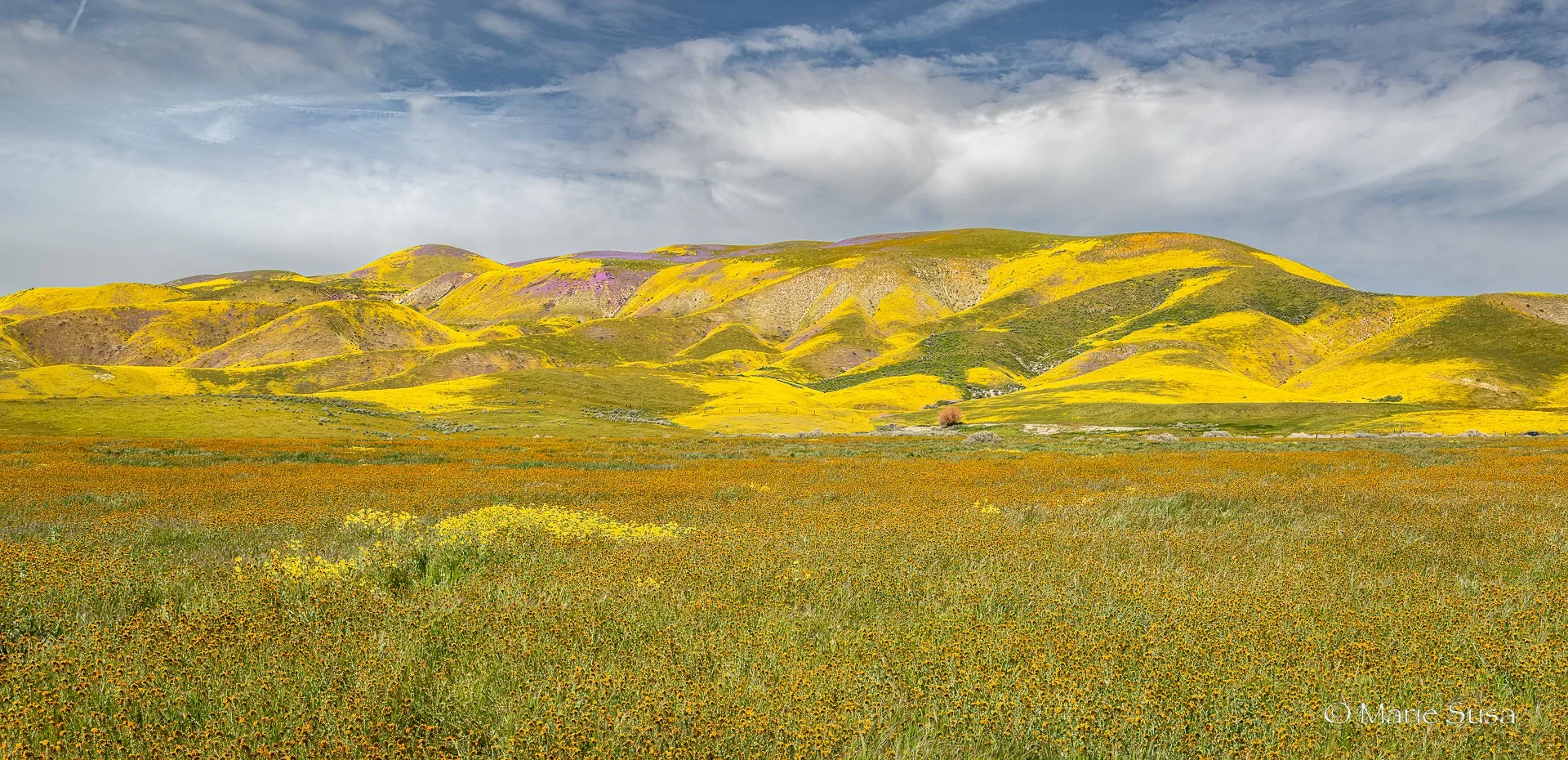Carrizo-6031-2.jpg