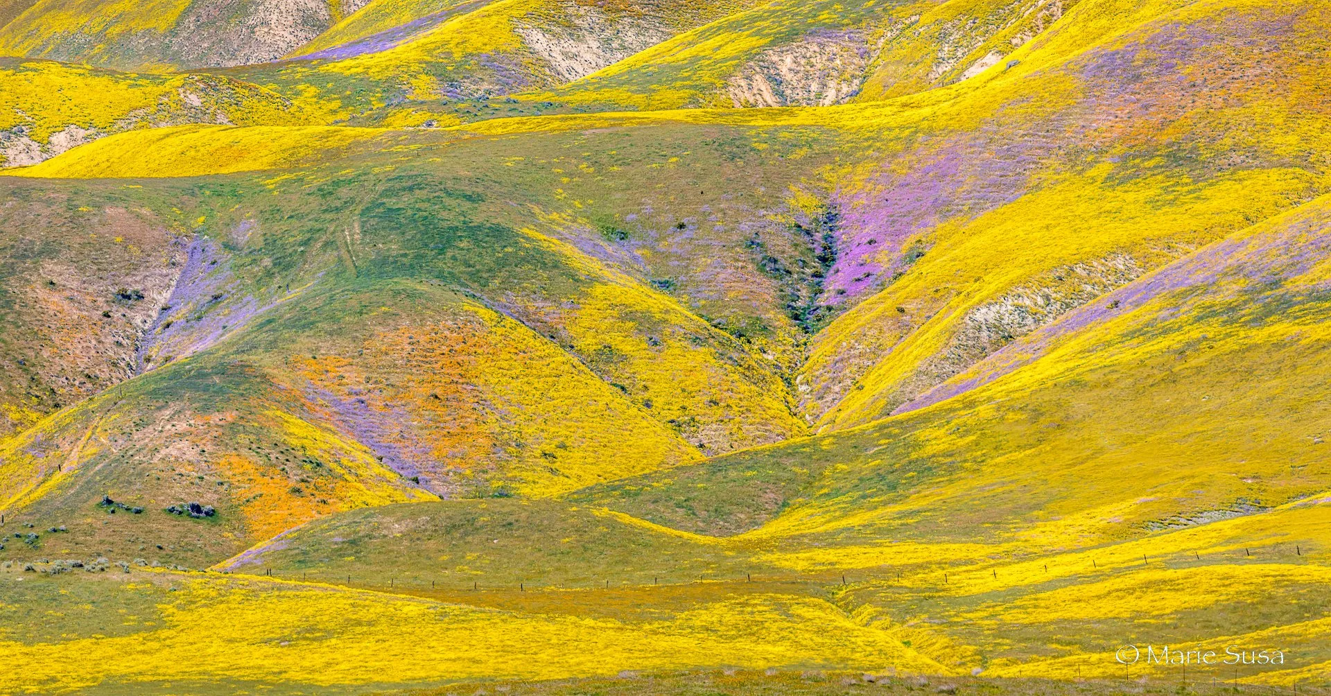 Carrizo-6030-.jpg
