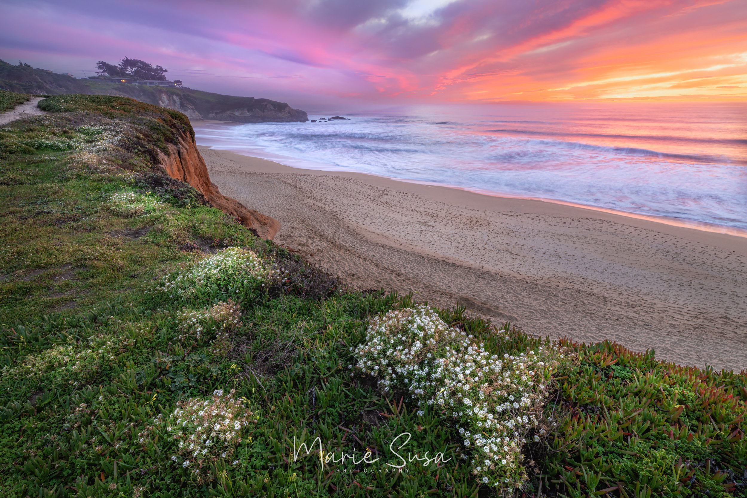 Montara_Beach_9503-.jpg