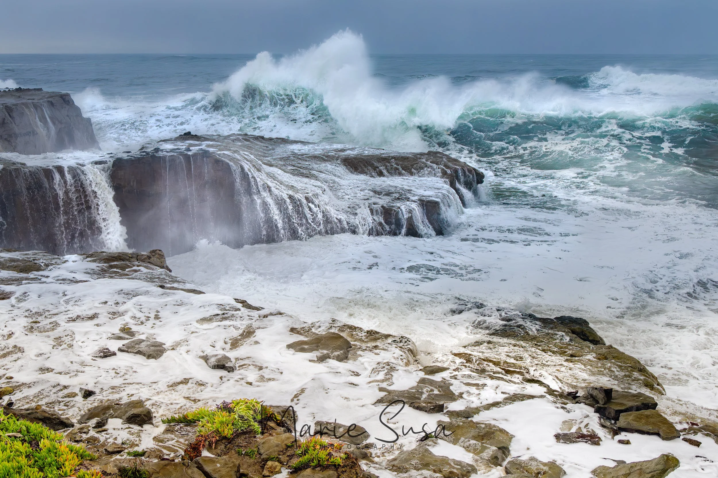 Santa_Cruz_6367-.jpg