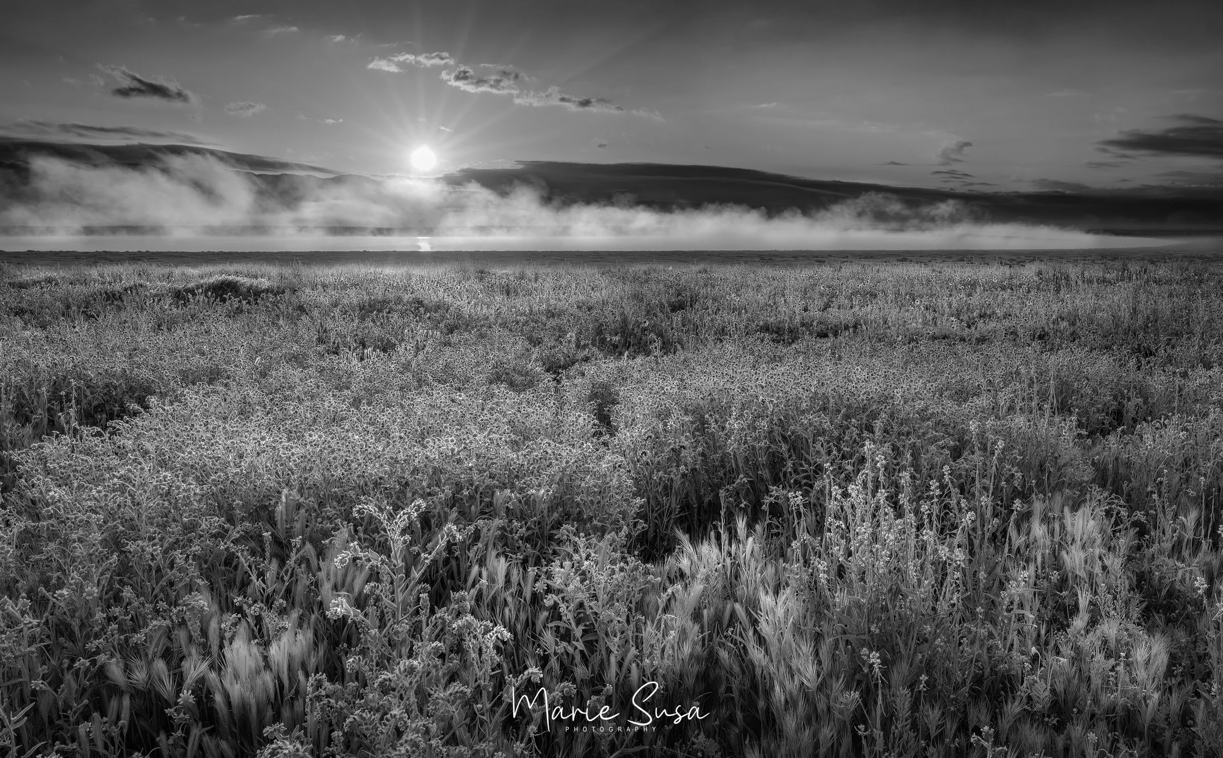 Carrizo_BW_6220-.jpg