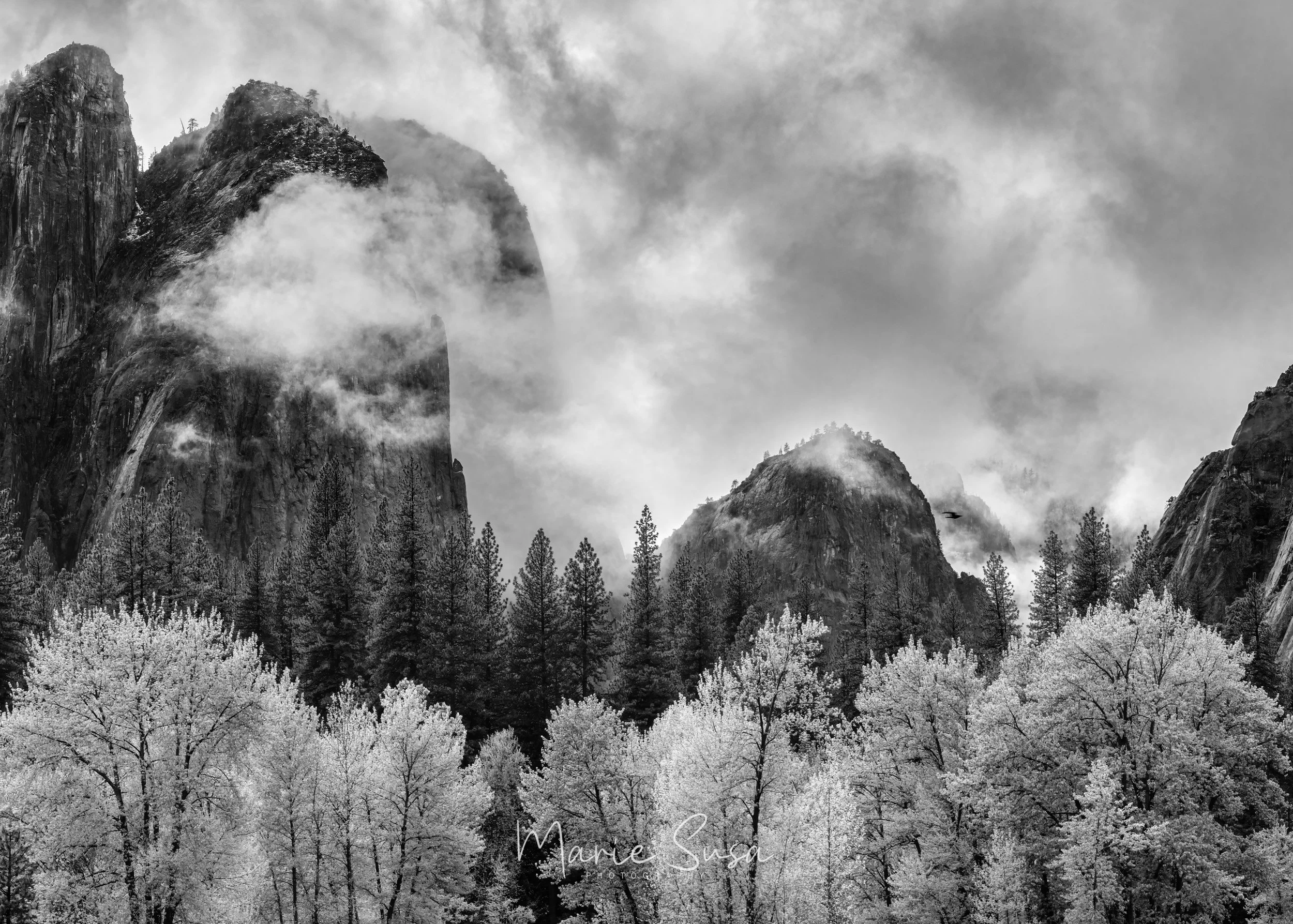 Valley_BW_9412-.jpg