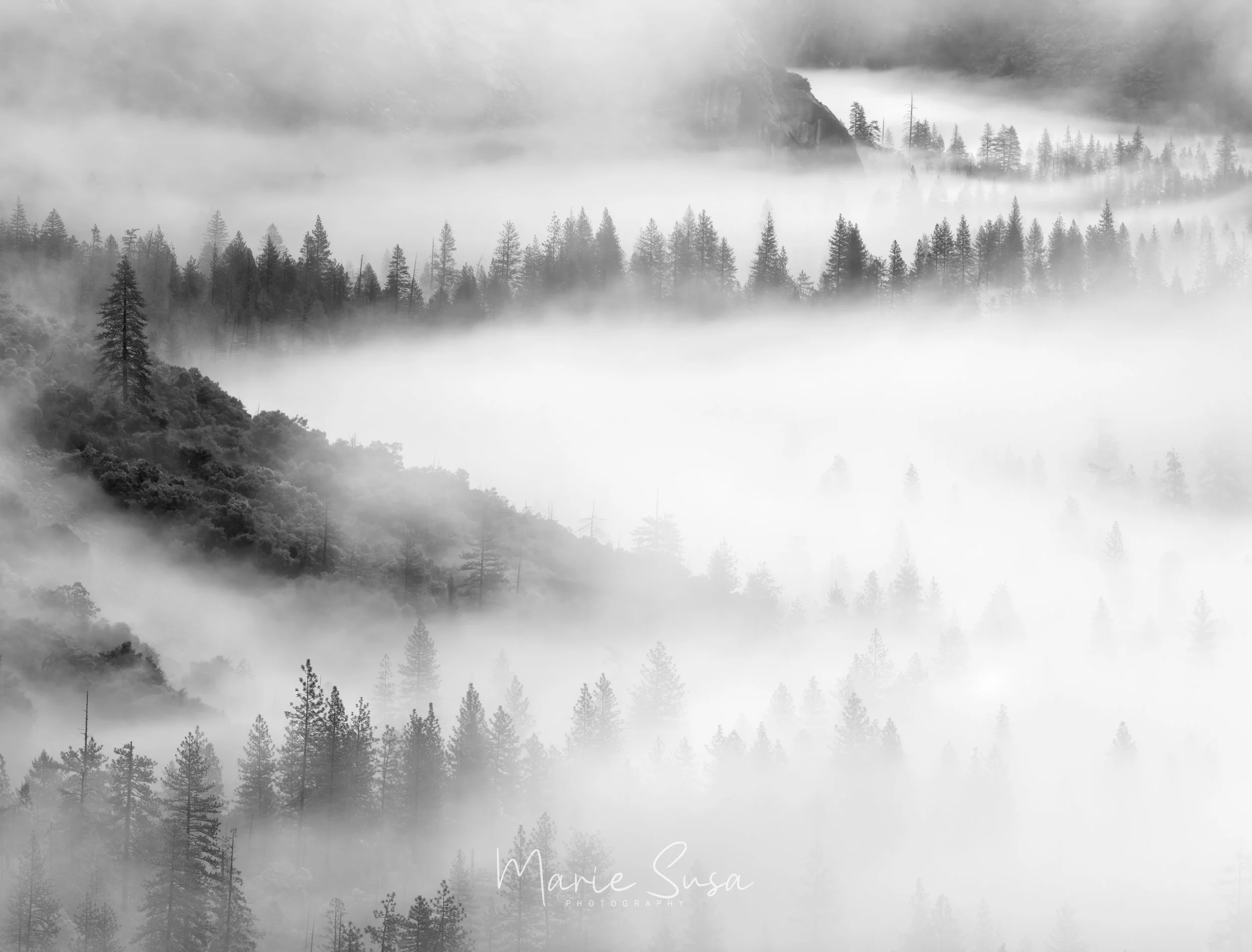 Valley_View_BW_9446-.jpg