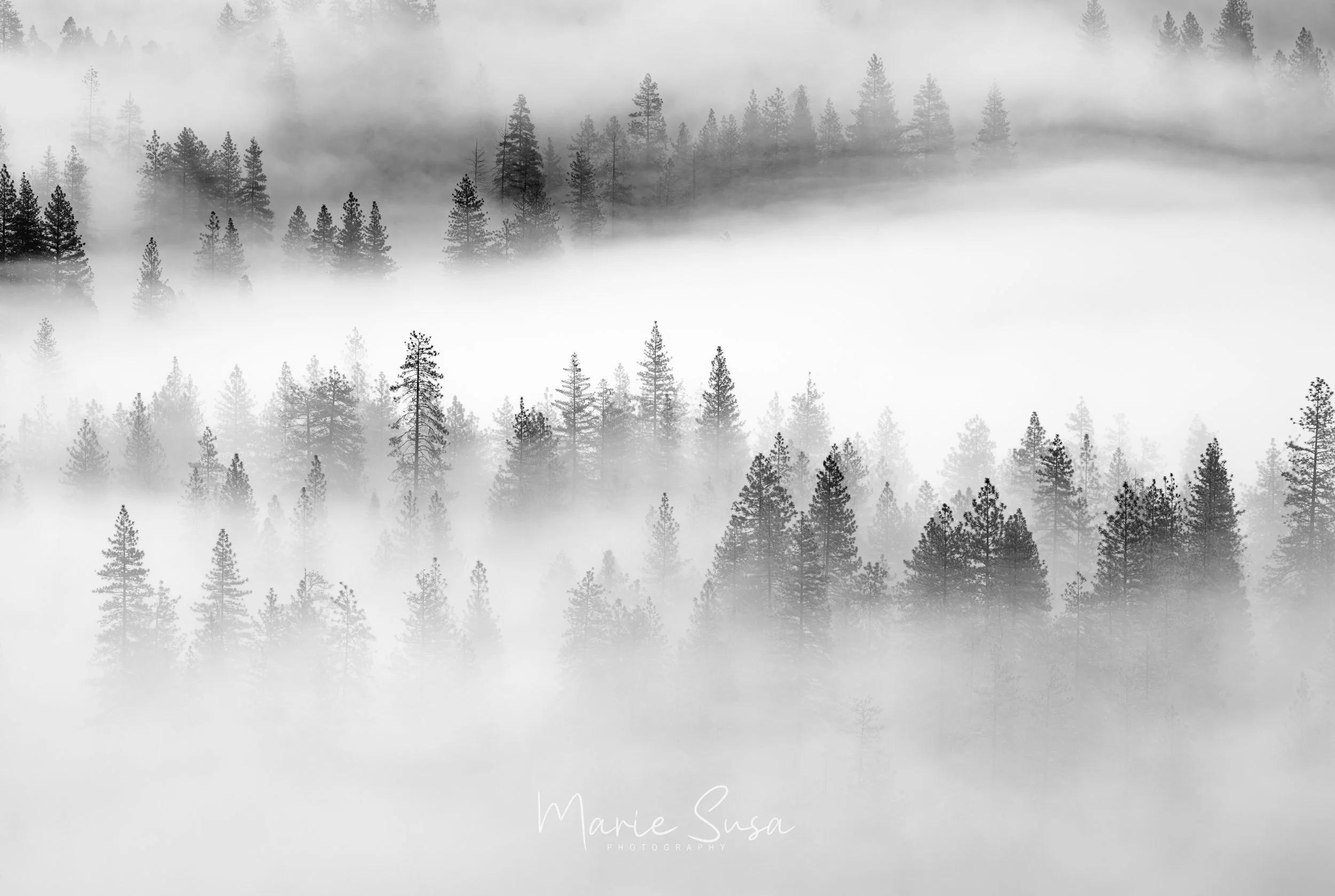 Valley_View_BW_9459-9459.jpg