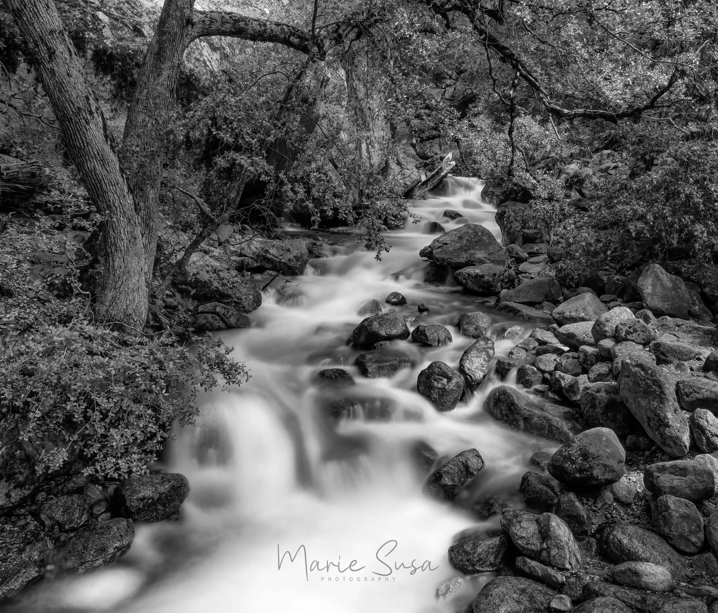Yosemite_Crrek-2.jpg