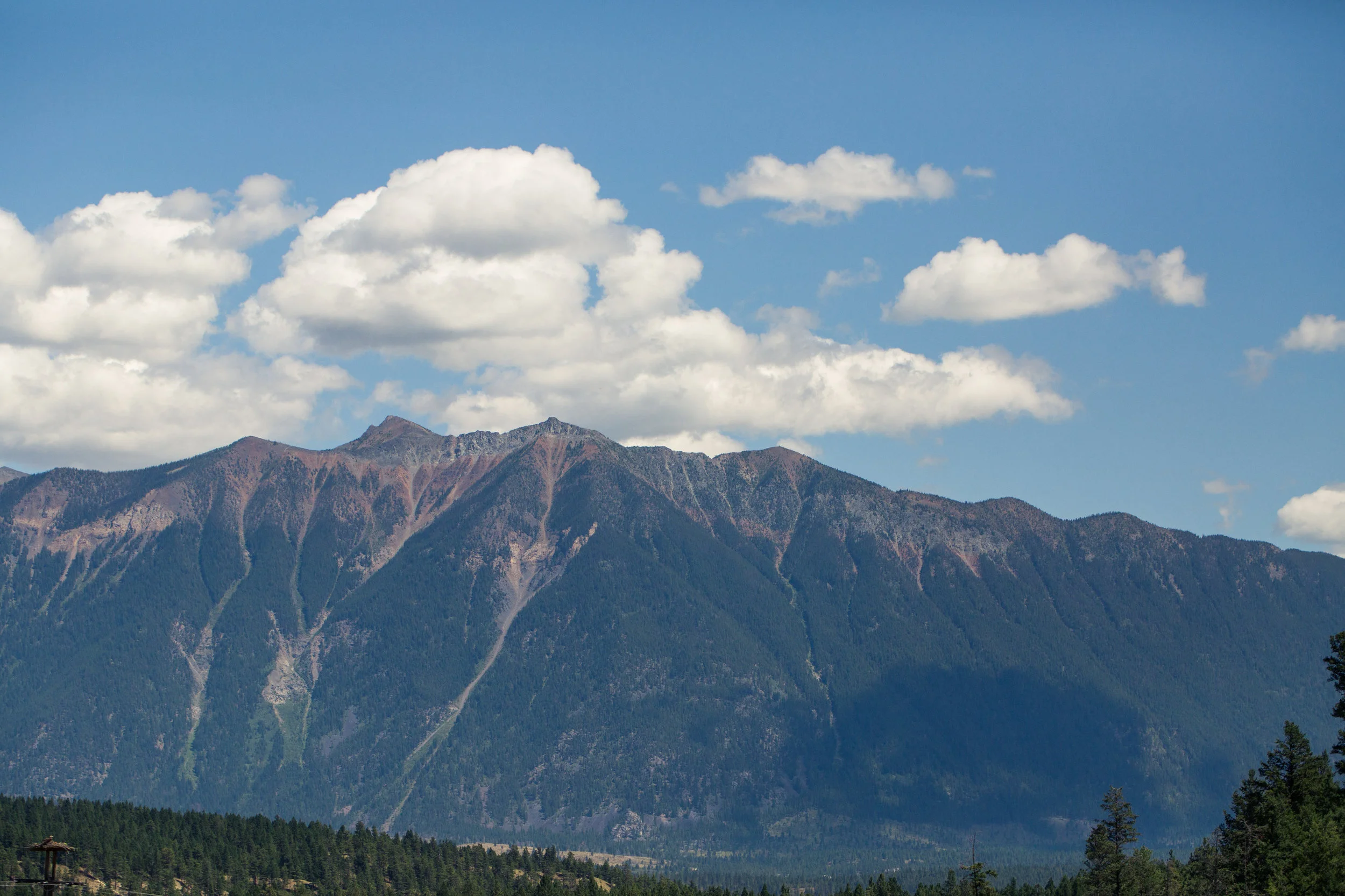 Details-1105.jpg