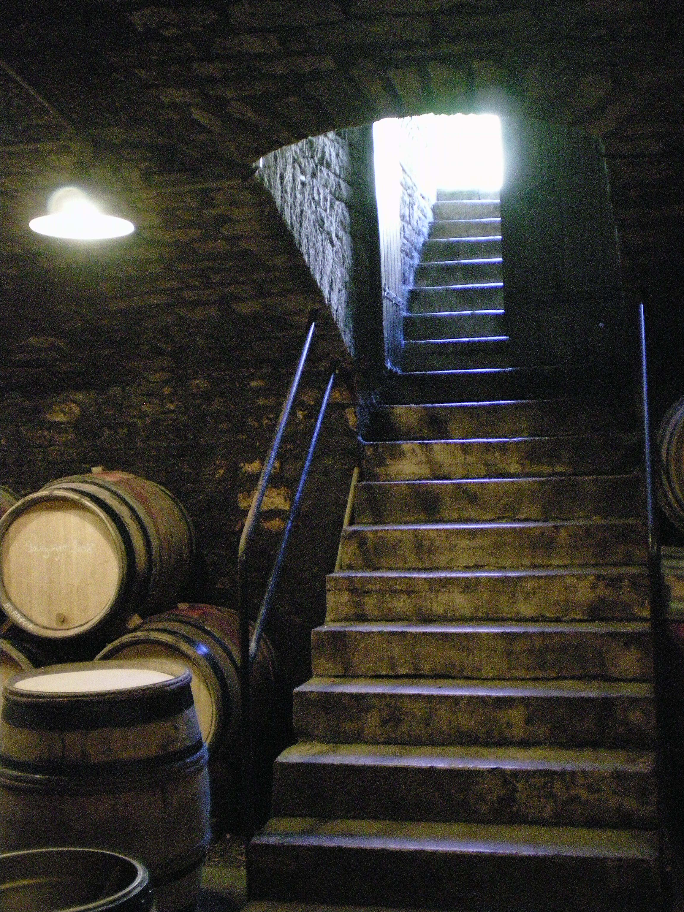 Descendre dans les caves, découvrir des trésors, déguster des vins effervescents inimitables, vivre une expérience inoubliable, et repartir avec des étoiles plein les yeux... C'est la magie de la Champagne et de son champagne. ***** Descend into the cellars, discover their treasures, taste inimitable sparkling wines, like unforgettable experience, and leave with stars in your eyes... This is the magic of Champagne the place and champagne the product.
